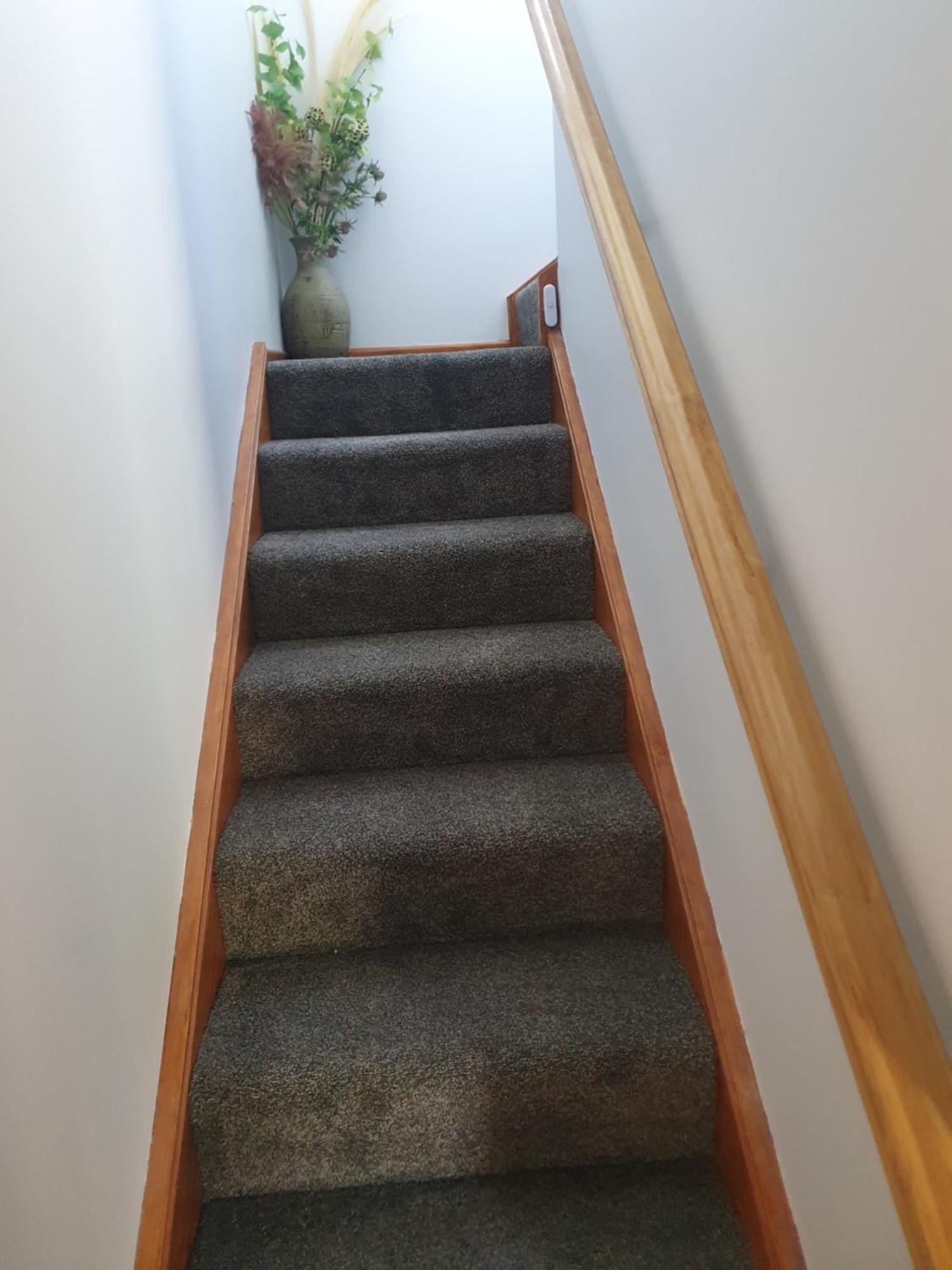 Mangaroa, Farmstay อัปเปอร์ฮัทท์ ภายนอก รูปภาพ